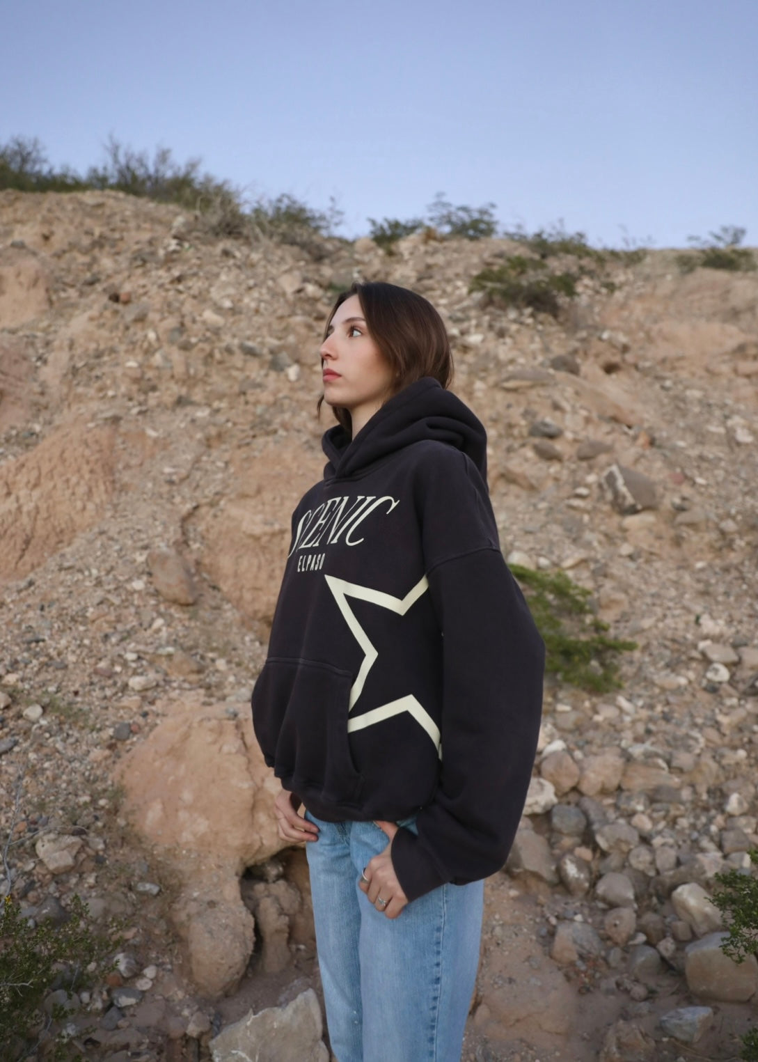 Scenic Ash Grey Hoodie