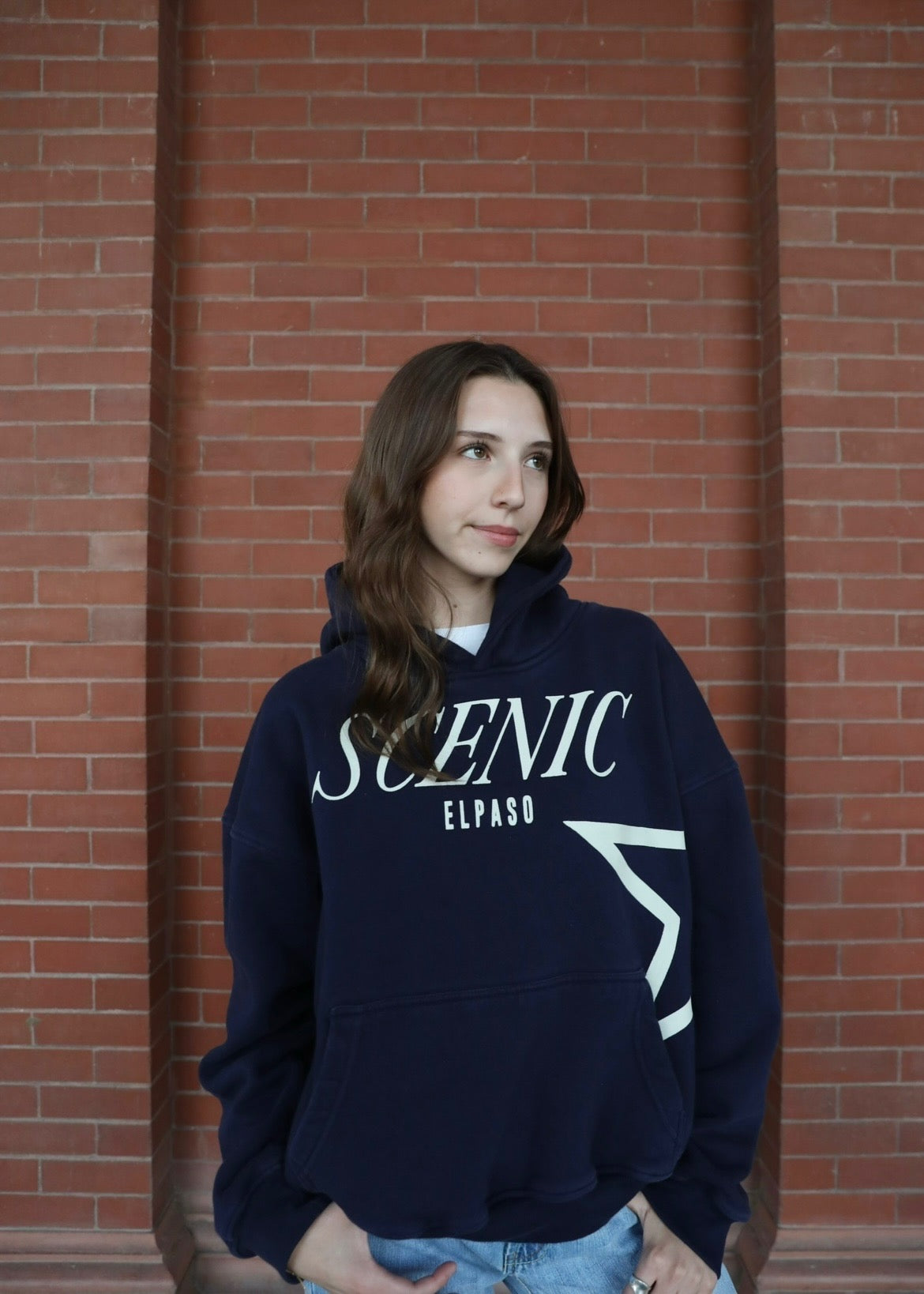 Scenic Navy Blue Hoodie